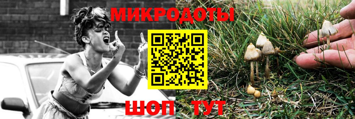 Галлюциногенные грибы Psilocybe Крымск