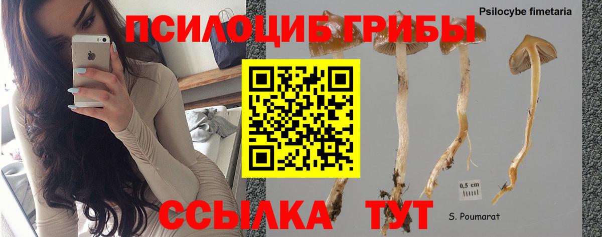Галлюциногенные грибы прущие грибы  Вход с VPN  Крымск 